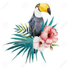 Tropical Birds And Flowers Wallpaper Stock Vector Bird Drawings Drawings Illustration