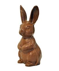 Image result for bunny