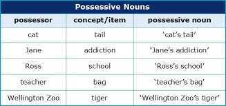 S singular p plural d dual: What Are The Eleven Types Of English Noun Academic Marker