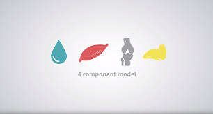 What Is Body Composition Inbody Usa