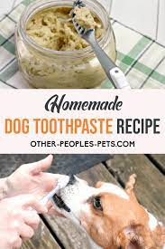 Homemade Dog Toothpaste Your Dog Will Like Other People S Pets