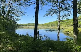 Painter Swamp Trail, Pennsylvania
