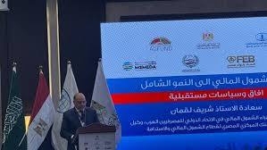 وكيل محافظ البنك المركزي: إطلاق الاستراتيجية الوطنية للشمول المالي قبل منتصف 2026