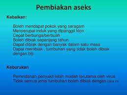 Untung menanam musang king durian musang king boleh dikatakan sebagai 'maskot' pertanian di malaysia. Ppt Tanaman Hiasan Powerpoint Presentation Free Download Id 3535664