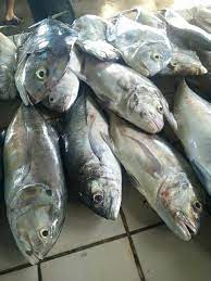 Sayur campur losun + lada putih #masakandusun #makanansabah. Ikan Putih Rm Pembekal Ikan Segar Area Kota Kinabalu Facebook