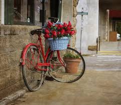 Red Bike And Flowers Tony Colvin Jpg 900 782 Cizimler Bisiklet Resim