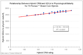 Interpreting Corn Hybrid Maturity Ratings Corny News