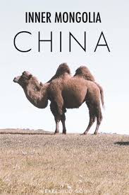 Inner Mongolia My Best Holiday In China Wearenico In 2020 Holidays In China Inner Mongolia Mongolia