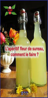 L Aperitif Fleur De Sureau Comment Le Faire La Sante Naturellement Fleur De Sureau Aperitif Sans Alcool Recettes De Boissons