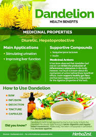 Pin On Home Remedies