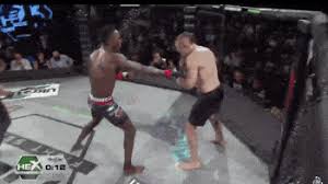 So i felt i should change it. Israel Adesanya Head Kick Ko Album On Imgur