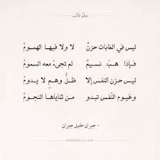 Pin On أبيات شعر