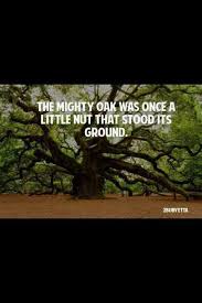 Visit her personal website here. Mighty Oak Tree Quotes Quotesgram