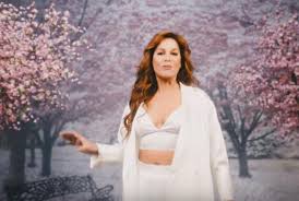 Produced by al king, rené baumann & alexs white. Musikvideo Andrea Berg Mosaik