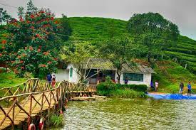 Add interesting content and earn coins. Vagamon Idukki Kerala India Kerala Tourism Kerala India Tourist Places