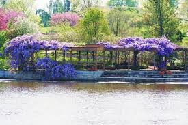 Photos taken at the missouri botanical garden in st. Powell Gardens Kansas City S Botanical Garden Kingsville Mo