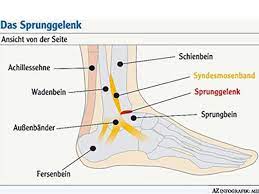 Banderriss Oder Zerrung Am Sprunggelenk Sofortmassnahmen Behandlung Pravention Hirslanden Blog