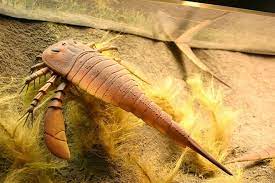 IFact - 1. Bọ cạp biển Jaekelopterus Bọ cạp biển khổng lồ Jaekelopterus là  một trong hai loài động vật chân đốt lớn nhất từng được phát hiện. Các hóa  thạch chỉ