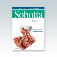 Libro de atlas de geografia 6 grado 2019 ~ news word from www.informador.mx. Sobotta Atlas De Anatomia Humana Vol 1 Anatomia General Y Aparato Locomotor 24Âª Edicion 2018 Edimeinter