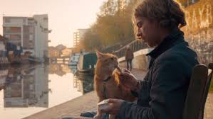 The true feel good story of how james bowen, a busker and recovering drug addict, had his life transformed when he met a stray ginger cat. A Street Cat Named Bob Reviews Metacritic