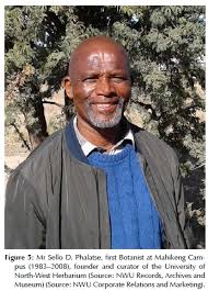 Image result for Styppeiochloa gynoglossa