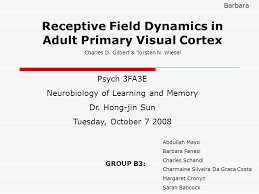 Receptive Field Dynamics in Adult Primary Visual Cortex Charles D. Gilbert  & Torsten N. Wiesel Psych 3FA3E Neurobiology of Learning and Memory Dr.  Hong-jin.