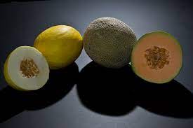 Maybe you would like to learn more about one of these? Melon Wikipedia