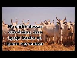 Em meados de 2011 foi lançado um álbum contendo as melhores canções da dupla gospel sertaneja daniel e samuel, o álbum que foi intitulado as 15 mais, assim como o próprio nome diz é composto por 15 (quinze) canções selecionadas e cheias de unção. Pin Em Frases