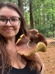 Wow so many wild mushrooms and it's extraordinary big😱