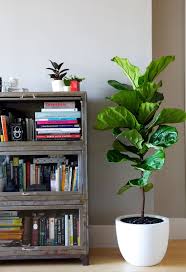 Definitivamente, las plantas están viviendo su mejor momento en decoración y lo último son las plantas colgantes. 30 Formas De Usar Plantas Para Decorar Espacios De Tu Casa