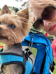 Excited to share something in the group