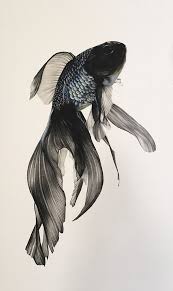 fish by julia grayson fish drawings betta fish school of visual arts