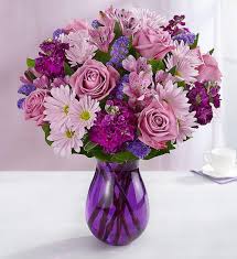 We did not find results for: Xavier S Flowers Somerset Ma Xaviers Florist Somerset