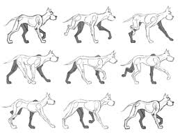Eye Blink Animation Key Frame Google Search Walking Animation Dog Animation Animated Drawings