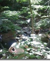 99 miles 159 kilometers of trail. Gunpowder Falls State Park Central Area Visitmaryland Org