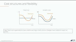 Cost Structure Learn About Cost Allocation Fixed Variable Costs