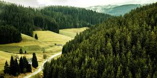 Empires | kingdoms | archbishoprics | bishoprics | abbeys | principalities | duchies | margraviates | landgraviates | burgraviates | palatinates | counties | lordships | republics | free imperial cities | protectorates | alliances. Germania In Pullman Flixbus