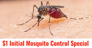 Baton rouge pest control from j&j exterminating. Mosquito Control Services Baton Rouge Arrow Termite Pest Control