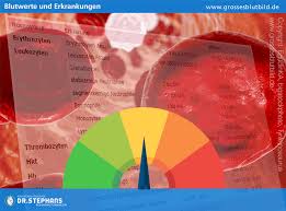 Werte außerhalb der norm bedeuten meist, dass die gerinnung gestört ist. Blutwerte Bei Eisenmangel Ursachen Und Diagnostik