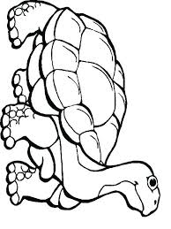 Lizards, snakes, iguana, turtles, sea turtles, chameleon, gecko, … Top 10 Python Coloring Pages