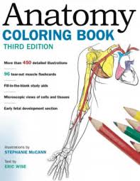 Simply put, anatomy coloring books consist of pages of black and white anatomical structures ready to be coloured in. Free Coloring Book Anatomy Download Pdf Online