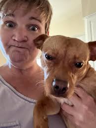 Dog's red rocket gets stuck and needs help