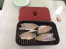 The barramundi has a fearsome predatory appearance with large predatory eyes well suited to sight hunting for live prey. Smoked Haddock Kedgeree And Fish Names In Malaysia British Expats