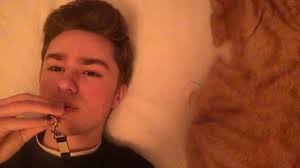 Gyvūnų ir naminių gyvūnėlių parduotuves, veterinarai ir gyvūnų klinikos, pet grooming, lipdamas. All Star But You Can T Hear It Although Your Pet Can Youtube
