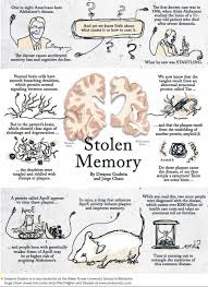 Pin On A L Z H E I M E R Infografias