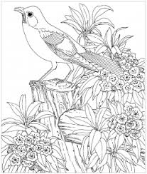 Cliquez sur le coloriage que vous avez choisis et cliquez ensuite sur imprimer dans le bas de l'image. Coloriage D Oiseaux Coloriages Pour Enfants