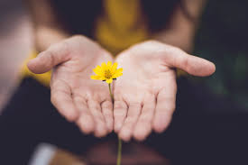 We did not find results for: How To Offer Words Of Condolence For A Miscarriage 12 Ideas Cake Blog