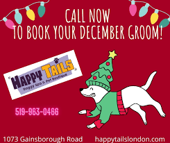 Happy Tails Doggy Spa Pet Boutique Dog Grooming In London Ontario Canada