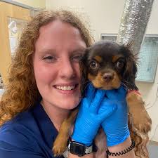 Katie Hopkins and Ryan Hopkins' Wedding Website