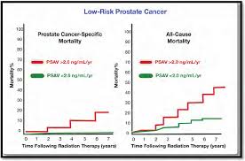 Higher Serum Plasma Folate Associated With Psa Velocity